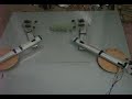 System of Co-operative Space Robots transferring an object
