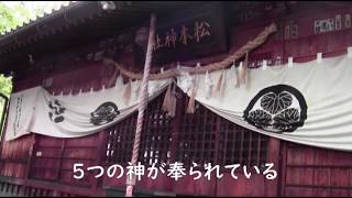 みんなで行こう！松本神社