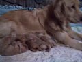 BEAN AND BABIES DAY THREE VIDEO 6