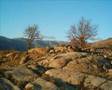 Extremadura 5