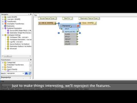 Dynamic Schema