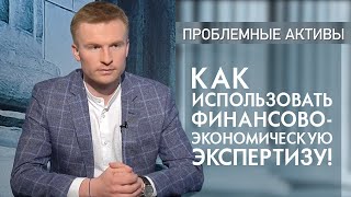 Как использовать финансово-экономическую экспертизу. Выпуск программы