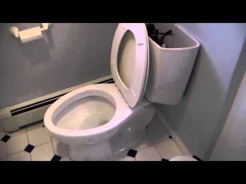 how to unclog jets in a toilet