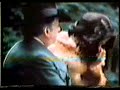 The Stranglers - Walk On By The Stranglers - Walk On By