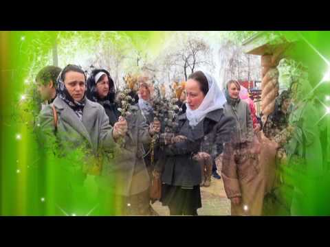 YouTube Трейлер