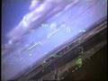 Bird Strike