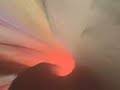 Chillout -- Abakus - Rainbow Warrior