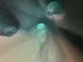 Chillout -- Abakus - Rainbow Warrior