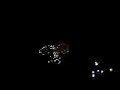 Newton Falls Fireworks