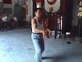 Yong Chun Bai He Chuen - punho da gar�a