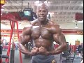 Bodybuilder Kevin Sperling curls, posing