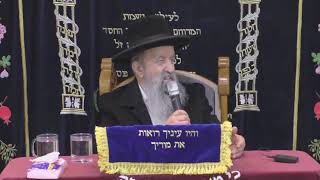 הרב בן ציון מוצפי • הכנות אחרונות לפסח • שידור חי בית הכנסת סודאי חולון הרב בן ציון מוצפי • הכנות אחרונות לפסח • שידור חי בית הכנסת סודאי חולון