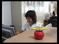 China phone rental and travel assistance China phone rental and travel assistance