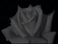 Rüyalarım Olmasa
