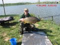 Crap Peris 9,900 kg