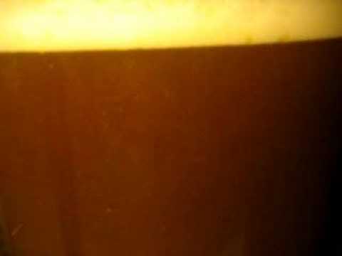 IPA Fermentation