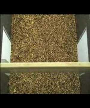 how to cure cigarette tobacco