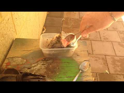 how to dissolve caustic soda