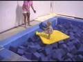 Sadie's 1st Gymnastic Class