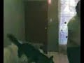 Javier Bailando