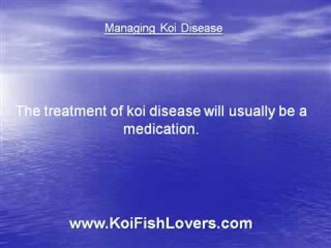 how to treat koi parasites