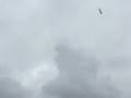 Red Bull Air Racing in Rotterdam
