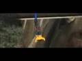  - MovieZen Video