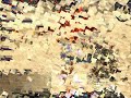 silkroad-online-europe.html