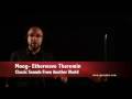 Moog Etherwave Theremin