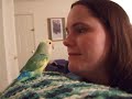 lovebird-is-whats-for-dinner.html