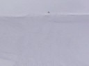 Snowmobiling in Big Horns Snowmobiling in Big Horns
