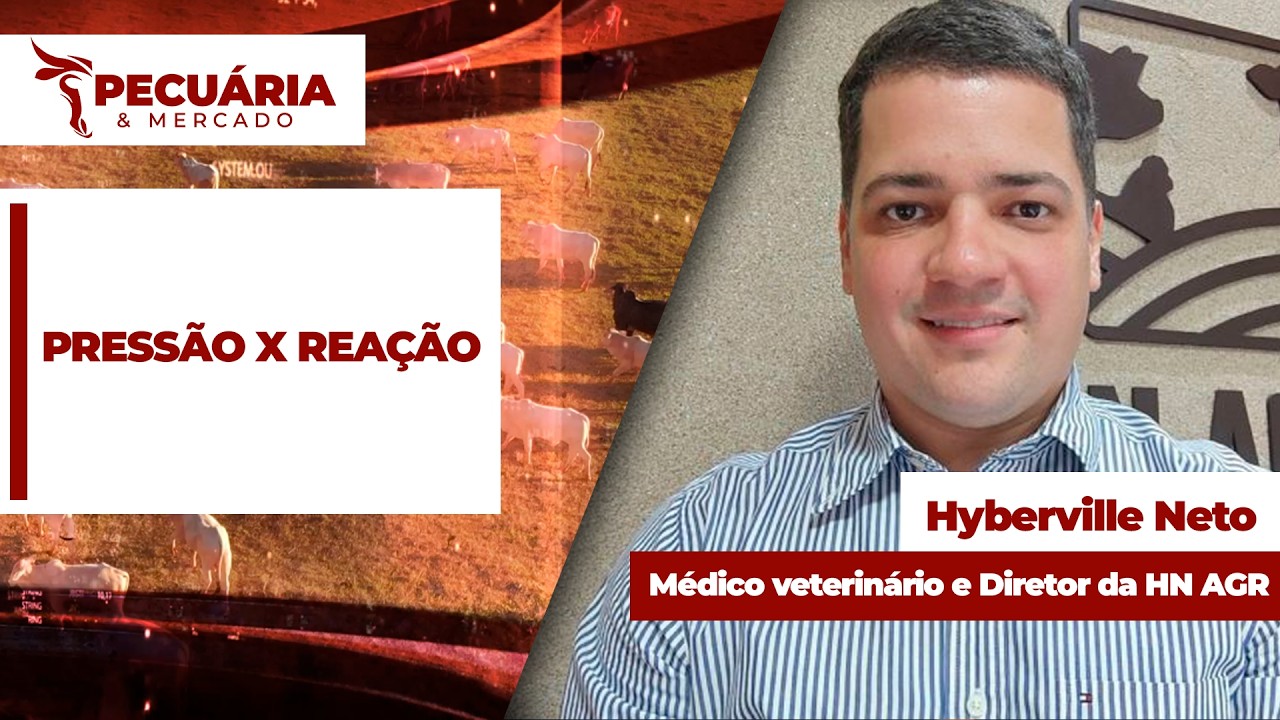 Frigoríficos aumentam pressão sobre arroba mas não conseguem recompor escalas de abate; oferta de...