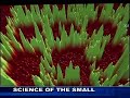 Creating skin out of corn? Creating skin out of corn?