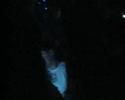 David Guetta live @t Offshore by Zoubi David Guetta live @t Offshore by Zoubi