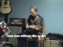 Uni-vibe pedals - Cool Cat Vibe & Chicken Salad