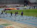 milanes ganador