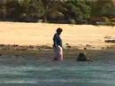 Awesome Adventures in Fiji - Trailer