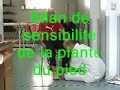 Hémiplégie en voie de récupération : bilan et rééducation Hémiplégie en voie de récupération : bilan et rééducation