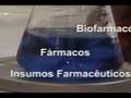 Mestrado em Ciências Farmacêuticas