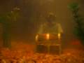 videos de Our new fish tank