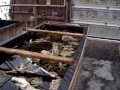 A visit to the nursery