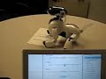Aibo Desktop Manipulation - Paper Manipulation 2