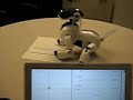 Aibo Desktop Manipulation - Paper Manipulation 2