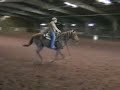 2yr old Jet Of Honor and Treasured bred filly shown with rider Nicole Torturo of 3Drum. This filly has 15 days in this video and was started from the ground up by 3Drum. To see more go to www.3Drum.colm