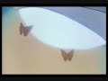 sailor moon stars ep  184 1/2 español mx 