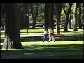 Harriet Beecher Stowe & \"Uncle Tom\ Harriet Beecher Stowe & \"Uncle Tom\