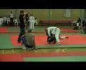 Southern Opening