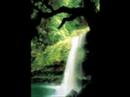 Earth is Beautiful