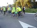 videos de podul istoric de peste raul tisa