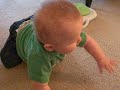 8 Months